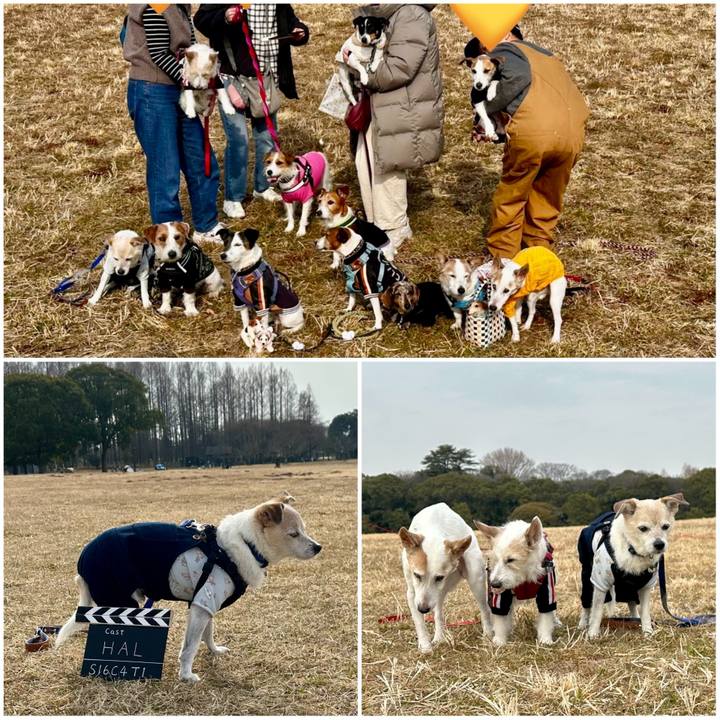 46c28e33 0591 47ce 88d2 2bee43940ffa 1771066510471