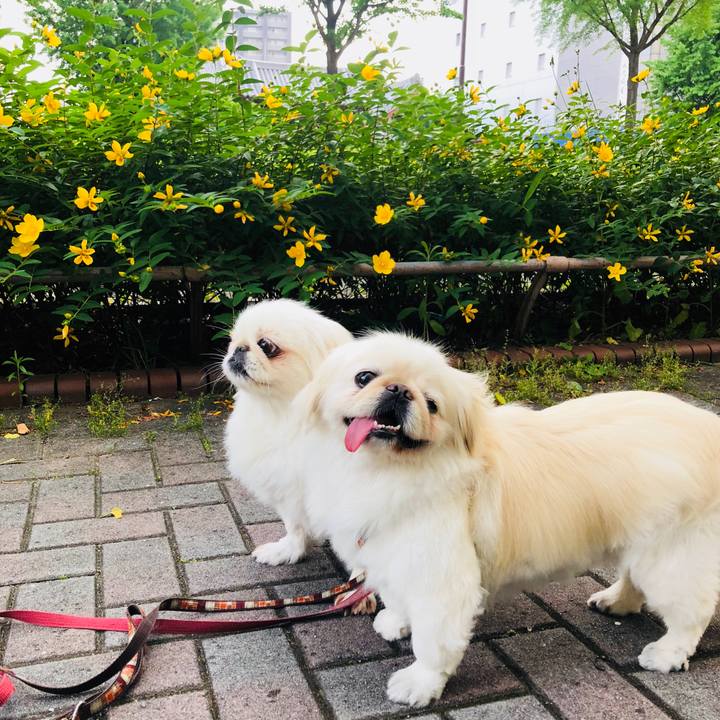 46c2b37a f1ff 4ad1 b0d5 745c3c32007a 1591305921761