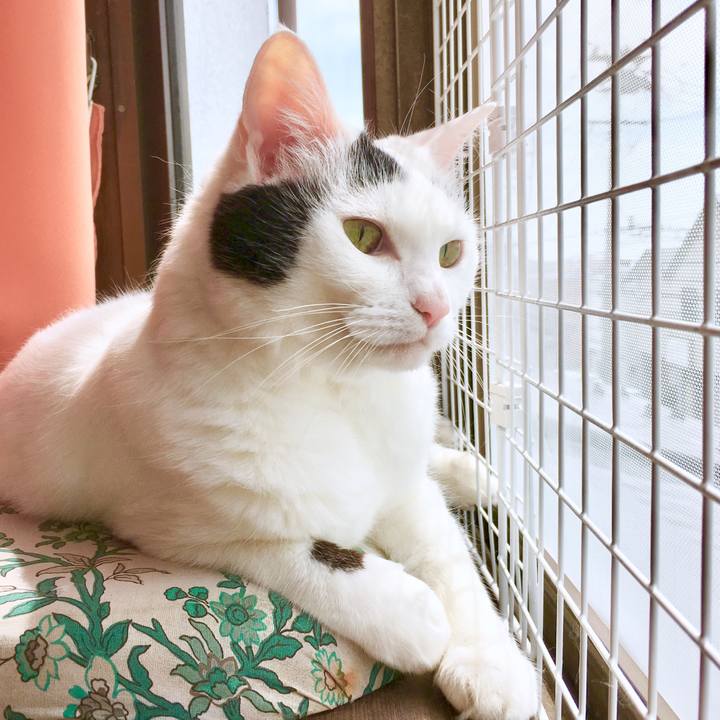 46c31c2a 27cd 4bad 99c8 f114db615080 1566616920133