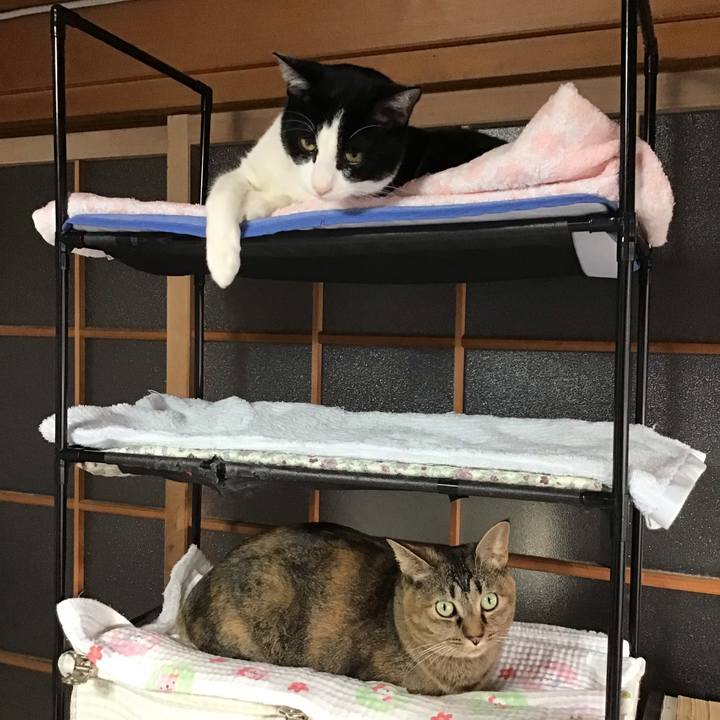 46c31ee0 40db 4b32 8b96 09c14f101787 1642653892006