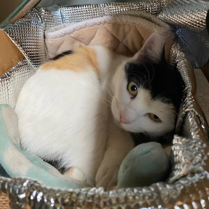 46c31fc9 d7f2 425a a35a 411e2b61eabf 1636632340646