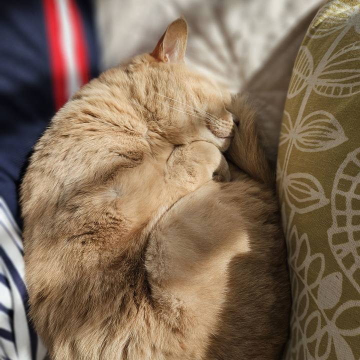 46c326e7 51a2 4253 b44f 6a16a4e2165c 1737190982301