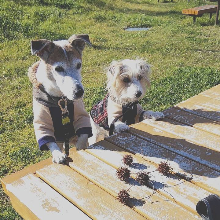 46c35683 0075 40d0 b83d 52b0f4a9cbea 1581923353772