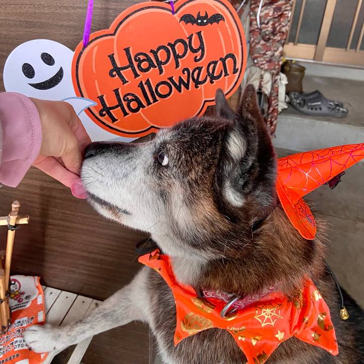 46c36024 696b 4ab0 acc4 d66c5155399e 1730252965715