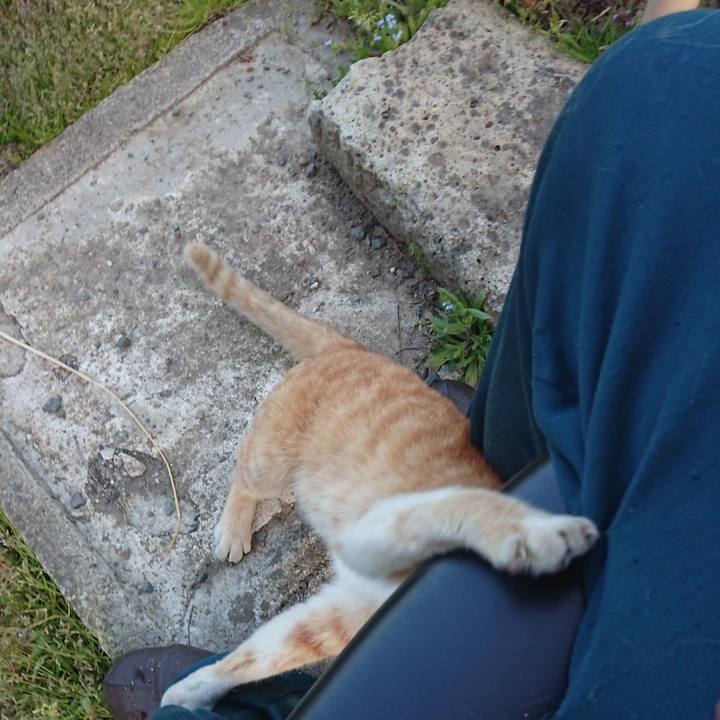 46c366e2 09c1 4df1 b8a2 90d67f9483a0 1557738568832