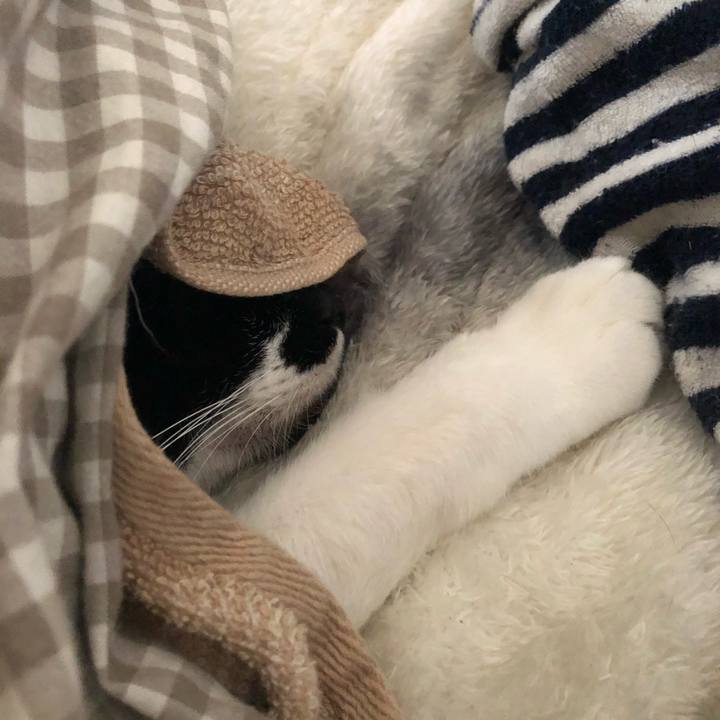 46c36c11 1f13 4af7 b0d0 0c066cde4ce1 1580542797687