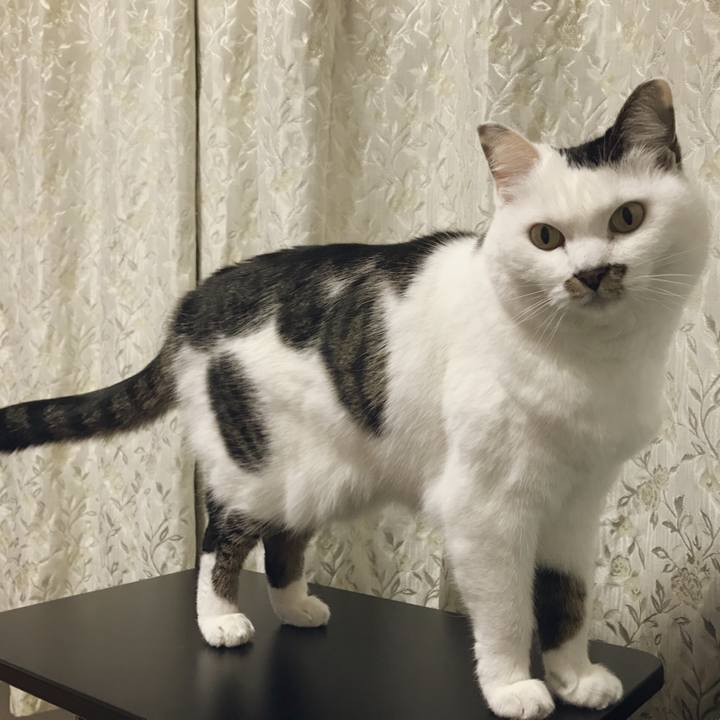 46c3b422 b6b4 46bd a2e1 b2ba4fd54d5c 1516706220605