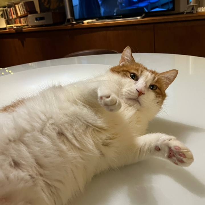 46c3fe18 91c4 47f5 8b67 dcd1ed91ed2f 1766407054029