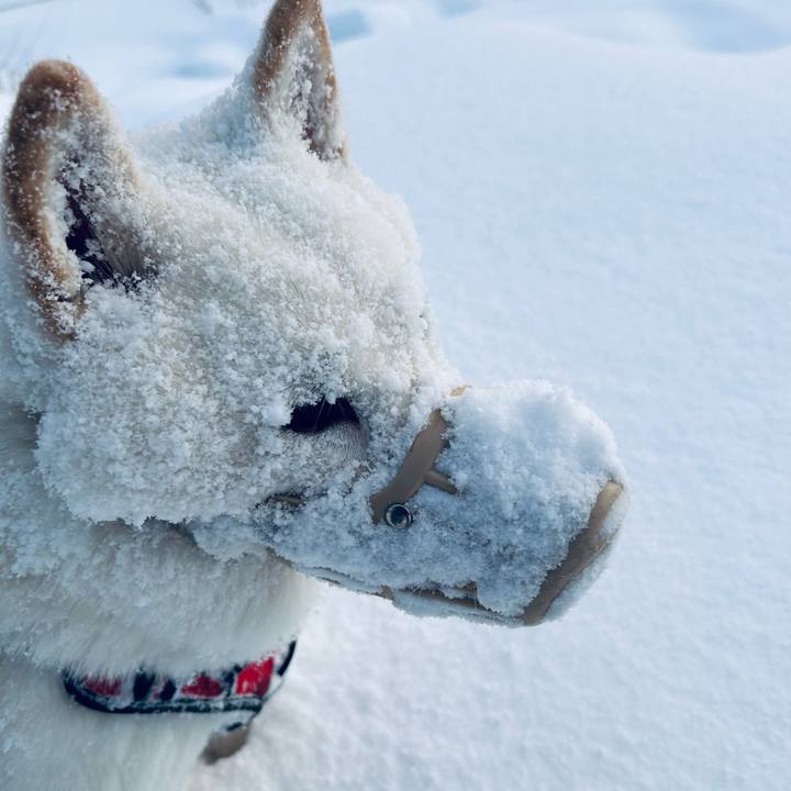 46c41fe1 8797 4123 a675 13683b170993 1763503687524