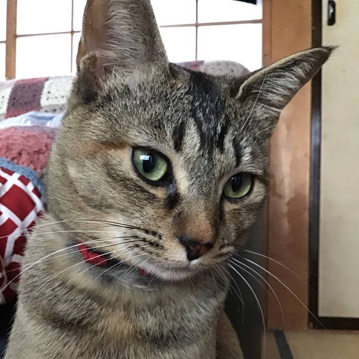 46c45f65 9d33 49ee a898 2e28f20174ab 1581934225143