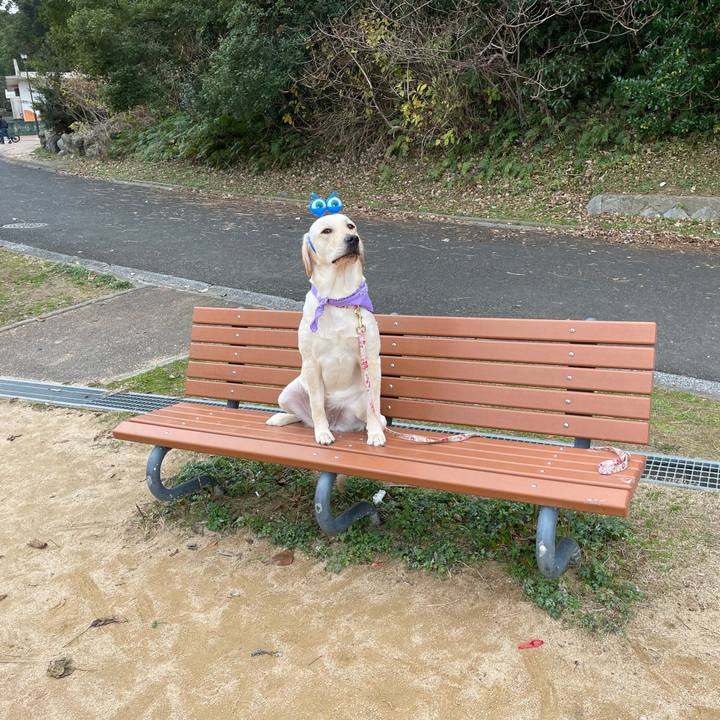 46c46055 487f 40d0 9d53 55479e2ec61c 1641713458906