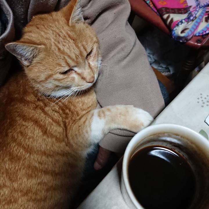 46c4a3c8 58f1 4f06 a114 5a77ac70c861 1576788373923