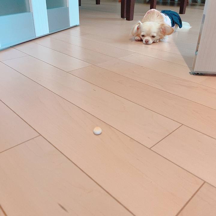 46c4e24a 8e14 4010 bb2f ba857736509d 1618463795965