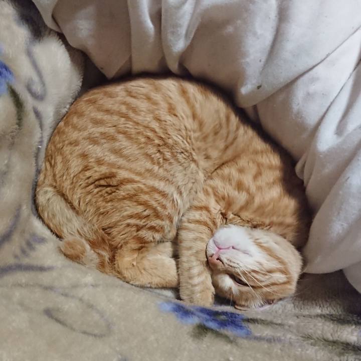 46c4f0a1 2565 4e3c 8926 8689607563a9 1648298154259