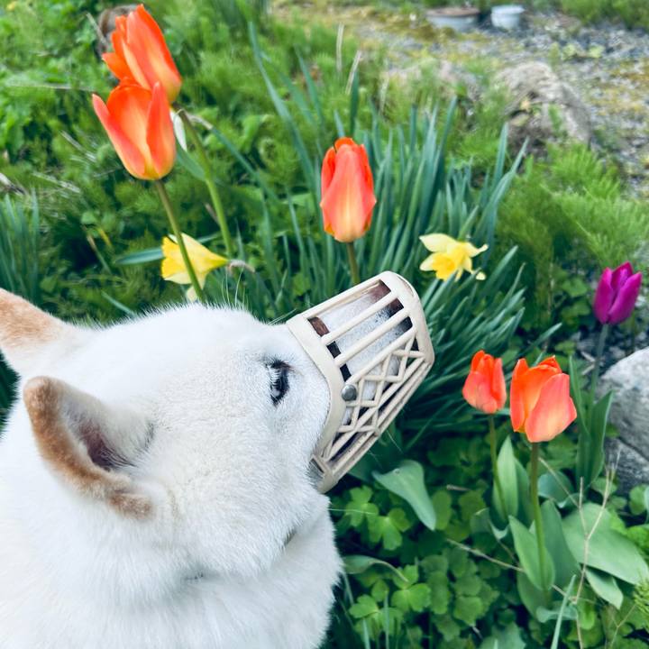 46c4f4c6 def7 4aa6 9827 f9d4f167aa0c 1715461341164