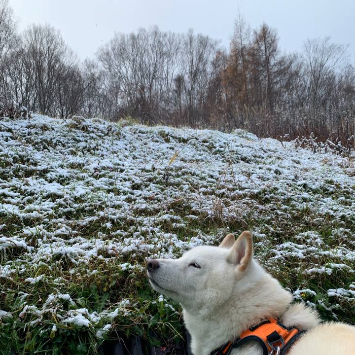 46c4f6b0 9b32 4858 ac40 4f020c8bef69 1637631089094