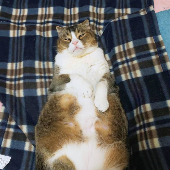 46c54e42 4720 4812 9172 c1749870bb73 1765464986839