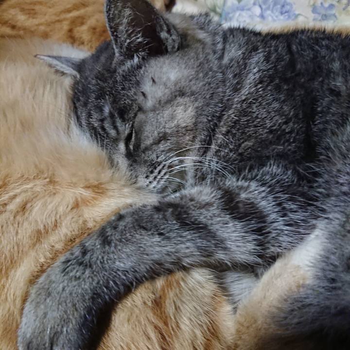 46c56c72 a1bf 4986 b1cd 9c802314f10f 1576500692714