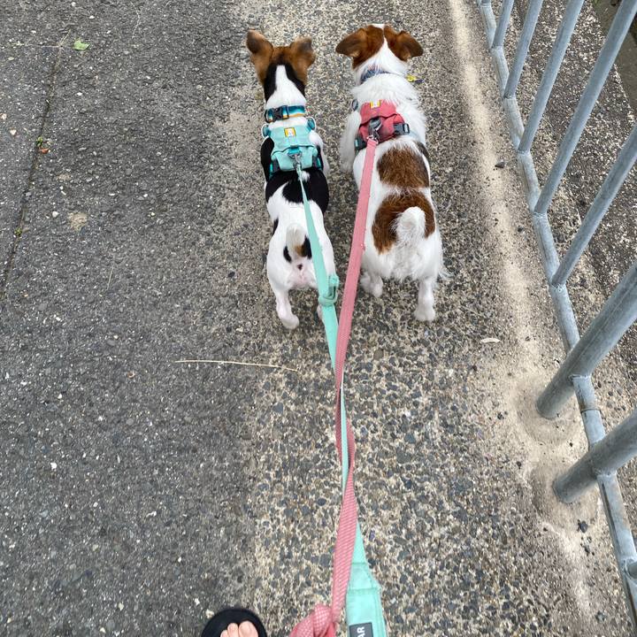 46c5c1b9 d3db 4389 ad89 e202cda40f52 1748642371854