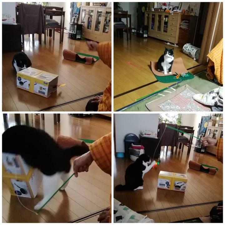 46c622b1 217d 4f0d 946c b2d9df2efe1e 1584538122759