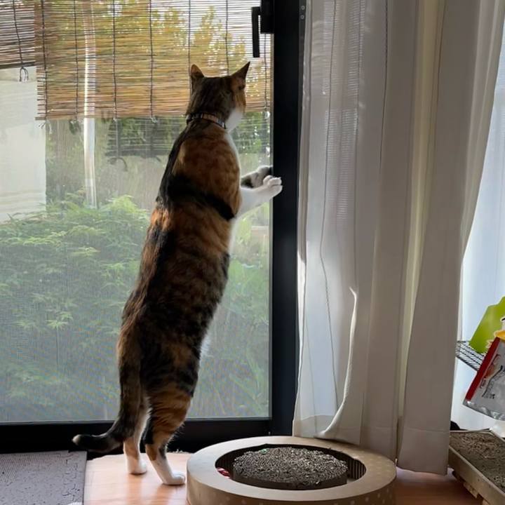 46c623c8 2f3f 41ef 9826 7a18cc1735e5 1682028849755