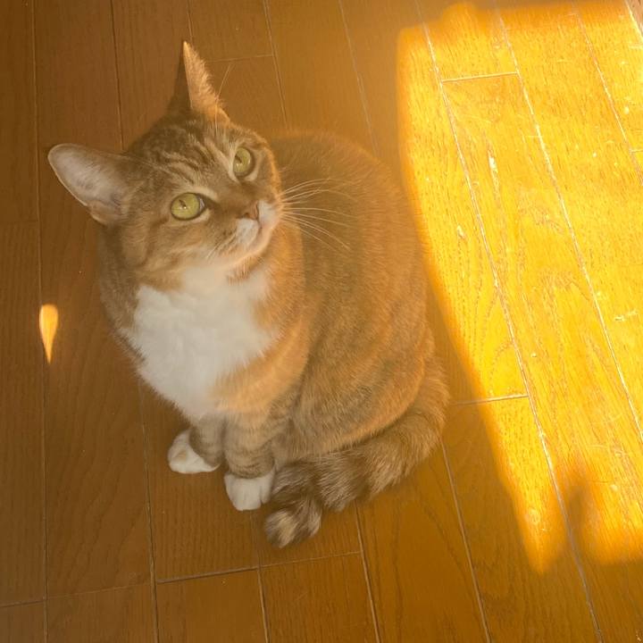 46c65174 16e3 4ae1 999f 091cdc25b1dc 1737861169461