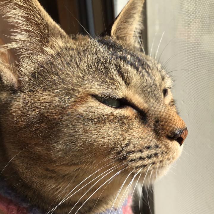 46c65d6e 0184 42a0 9849 e3062847b043 1618097772883