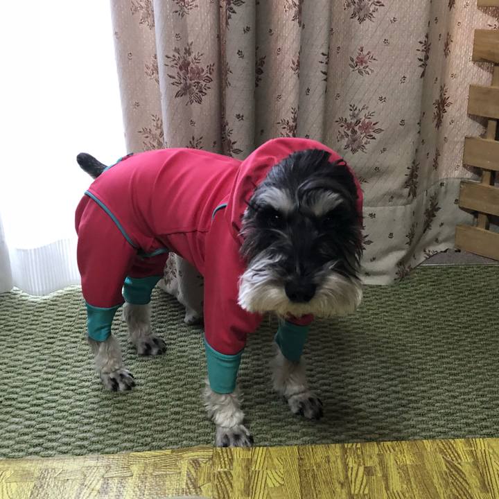 46c66ef4 7d1e 4f33 b159 07499ab44f98 1517709921943