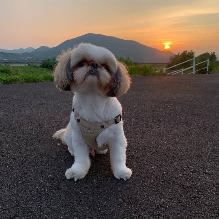 46c675e3 b5f4 4968 ba06 abf6a24884f4 1655460605974