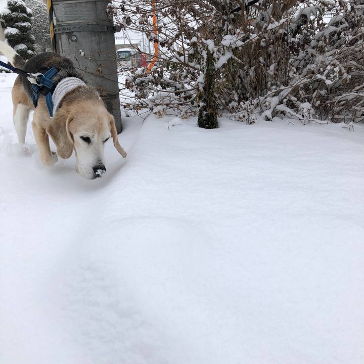 46c67e00 5f92 4028 8056 6888ef1495b4 1610414052166