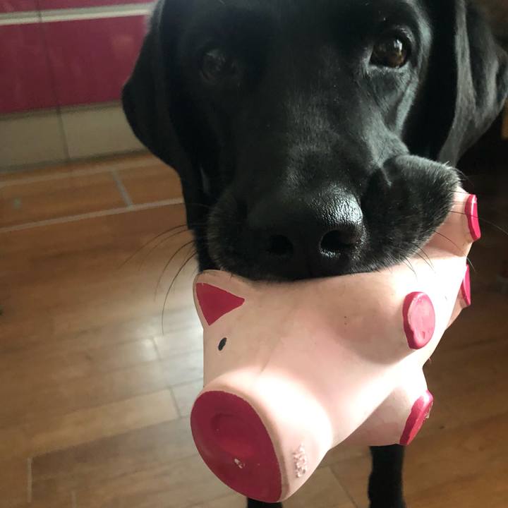 46c6d429 9a5e 4931 8db5 0dbc8b5c9cf1 1672391837217