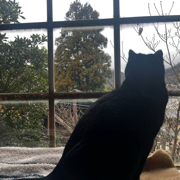 46c71847 1b2a 46cb 82eb b16e77041af1 1766576708445