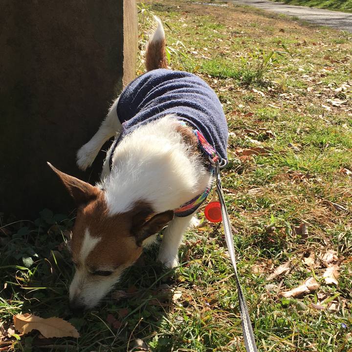 46c71b7f 2ba0 40c1 8180 b8eff3fb296b 1582336981544