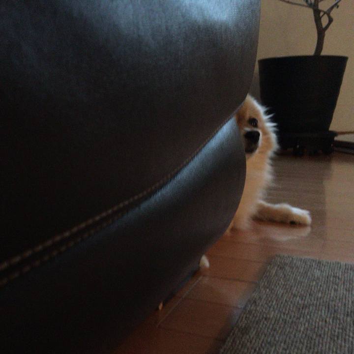 46c73028 9421 45e1 a72f e17a96bb2676 1561251381798