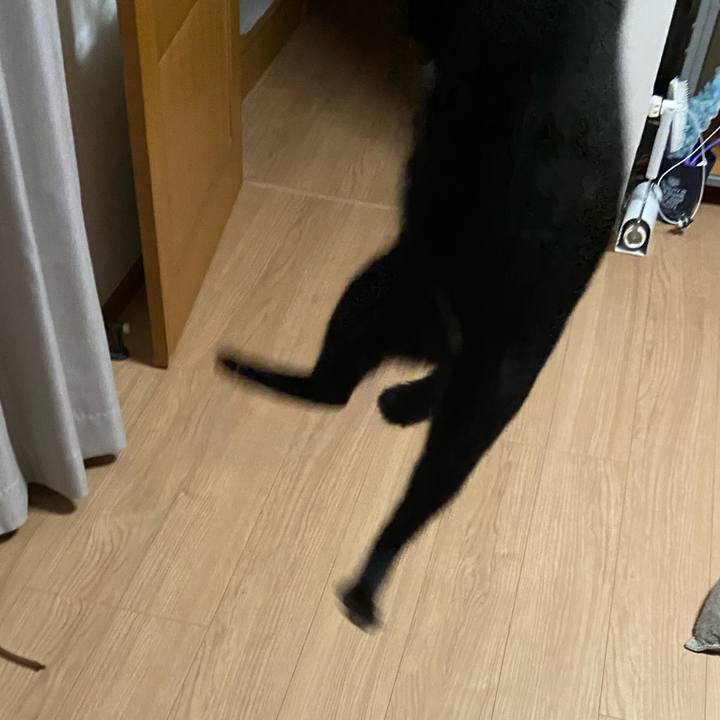 46c75dde df05 46b0 b7b6 7e6ad4f4c1fd 1620648341754