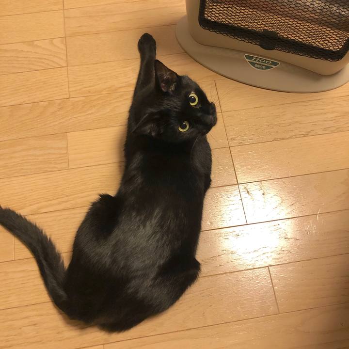 46c7754e 2b2d 4dcd 8ceb f3363ca402ef 1546257825970