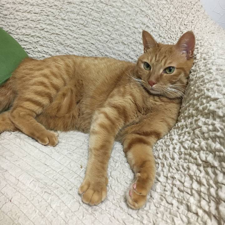 46c7afe0 11f3 4523 bf10 2c924156a917 1602757725743