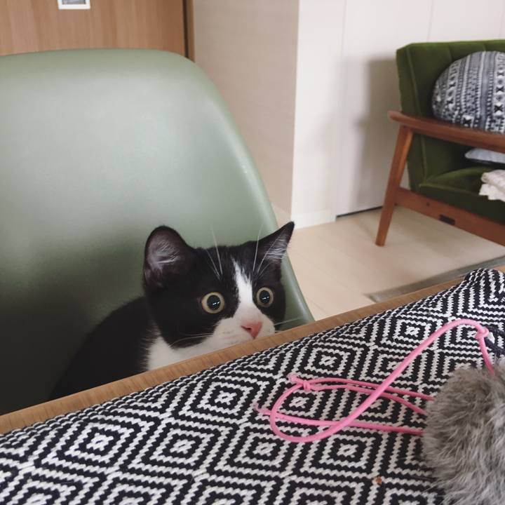 46c7e391 aedc 49fc ba28 d2231f71b80a 1528499086207