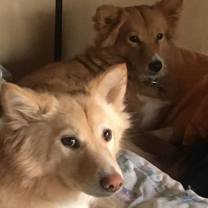 46c7ed93 a08e 4d82 aab6 d01b2f16cbf4 1546445009571