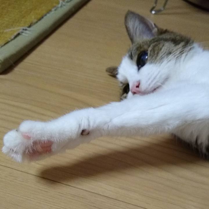 46c7f348 a516 4af2 9a10 cedcba58ee34 1563450956384