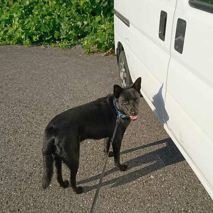 46c811f0 85b1 4370 b33a 2b7a440fc0e2 1534629932063