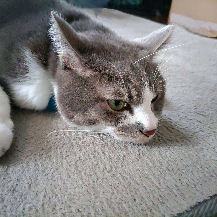 46c82208 adf1 41e5 8560 e752009a9369 1724553169254