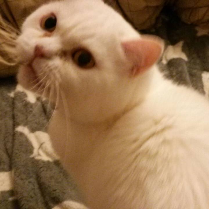 46c84089 aea4 4330 b428 70903ab41740 1526811748627