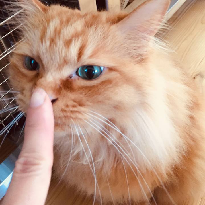 46c84213 05b6 45d7 8041 670633f662ed 1592346495506