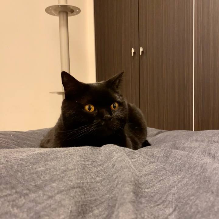 46c85dd6 15c3 4b20 939f ac1bd746a5ff 1699879786520