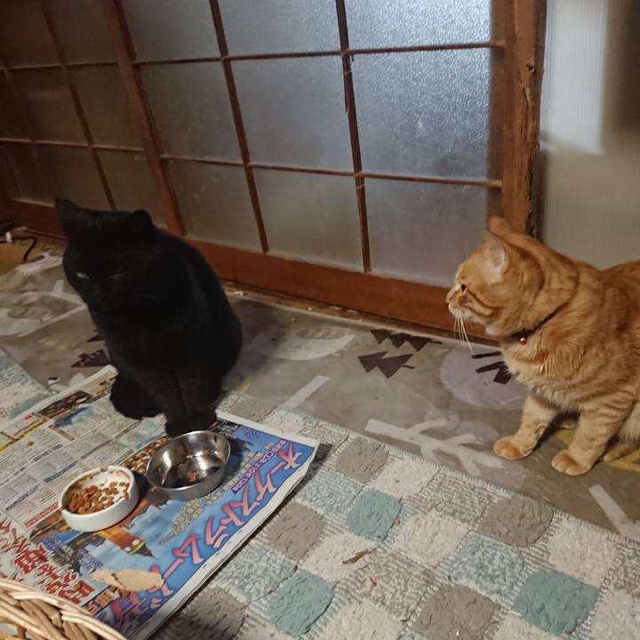 46c86b78 0d2c 43d1 b312 433c04e52aba 1649925096711