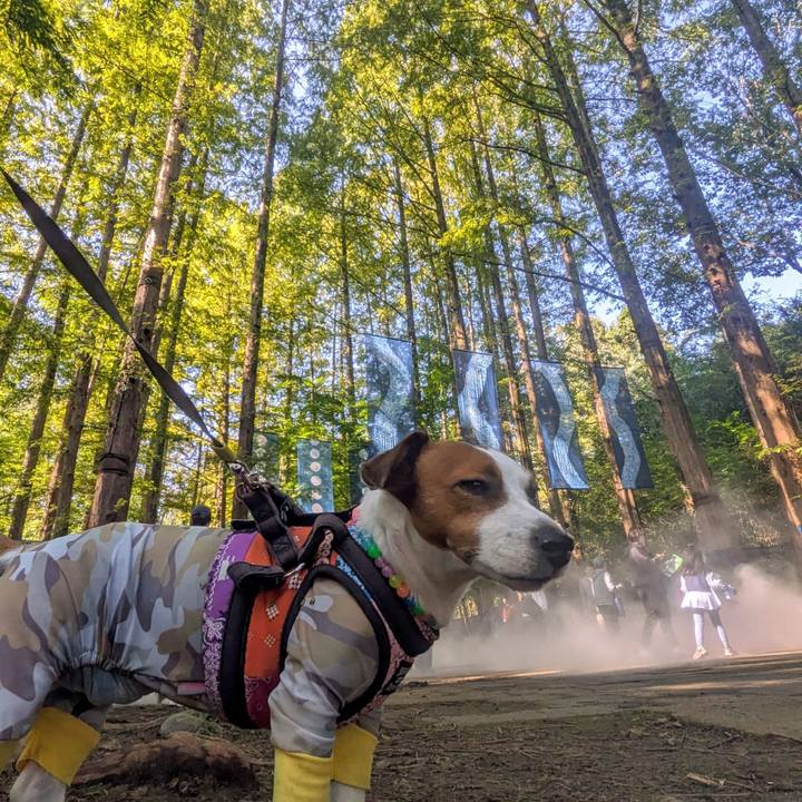 46c87206 be25 4f8a b19a 5f07b6c95636 1730717090291