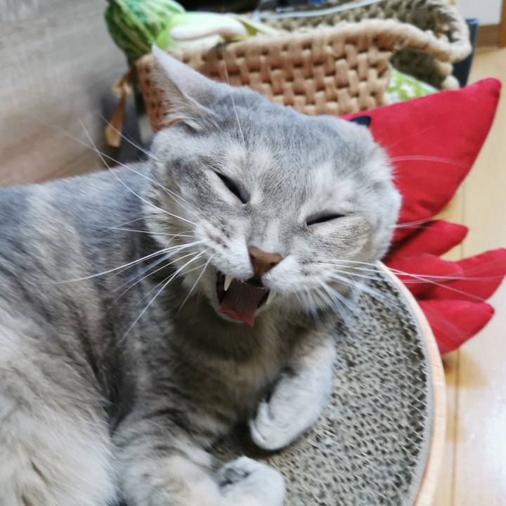 46c89000 9a72 41ac 90cb 2dbe65c22259 1651899592387