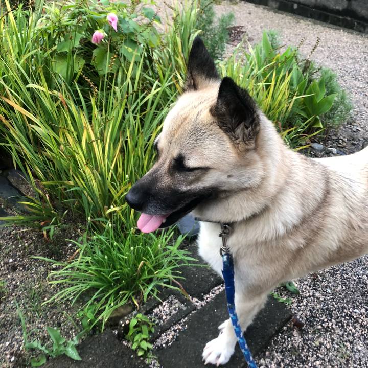 46c8a236 0c4b 4e42 9ba5 4b53a0d2429b 1565783524689