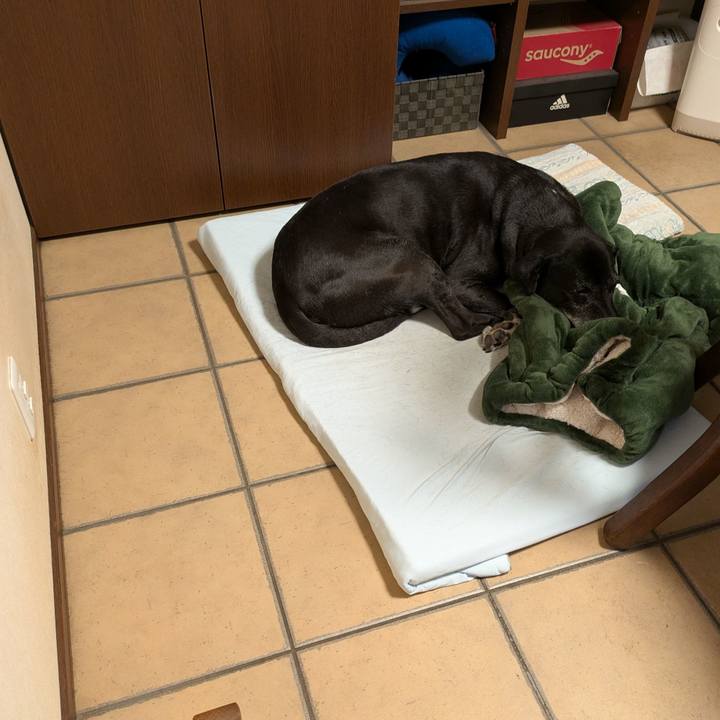 46c90774 494c 4b2e ad09 85cb997beb79 1757365603366